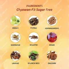 Baidyanath Chyawan Fit Sugarfree 500gm