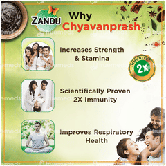 Zandu Chyavanprash Avaleha 900gm