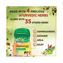 Zandu Chyavanprash Avaleha 900gm