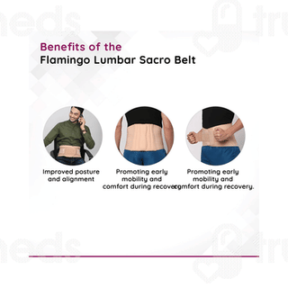 Flamingo Lumbar Sacro Belt Small 1