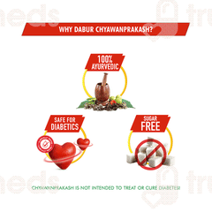 Dabur Chyawanprakash Sugarfree 3x Immunity Action 500gm