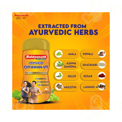 Baidyanath Chyawan Vit Sugar Free 500gm Baidyanath Chyawan Vit Sugar Free 500gm