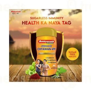 Baidyanath Chyawan Vit Sugar Free 500gm
