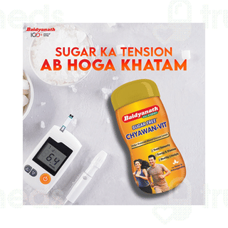 Baidyanath Chyawan Vit Sugar Free 500gm