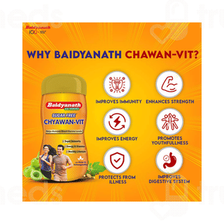 Baidyanath Chyawan Vit Sugar Free 500gm