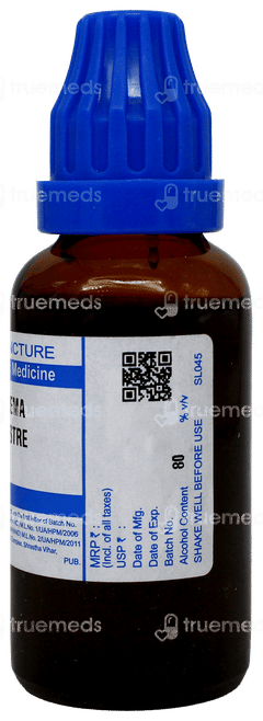 Sbl Gymnema Sylvestre Q Mother Tincture 30Ml Sbl Gymnema Sylvestre Q Mother Tincture 30Ml