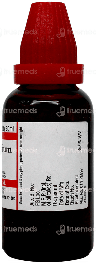 Dr Willmar Schwabe Berberis Aquifolium Q Mother Tincture 30Ml
