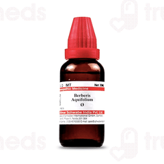Dr Willmar Schwabe Berberis Aquifolium Q Mother Tincture 30ml