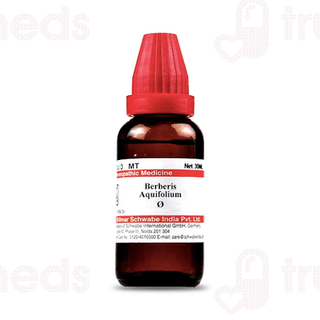 Dr Willmar Schwabe Berberis Aquifolium Q Mother Tincture 30ml
