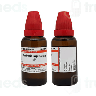 Dr Willmar Schwabe Berberis Aquifolium Q Mother Tincture 30ml