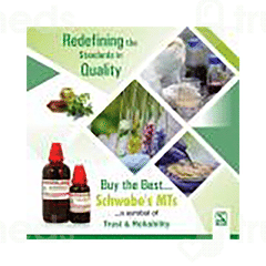 Dr Willmar Schwabe Berberis Aquifolium Q Mother Tincture 30ml