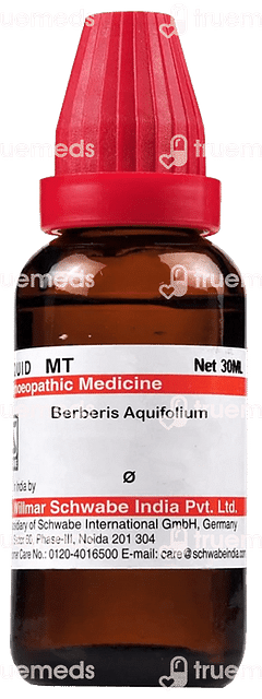 Dr Willmar Schwabe Berberis Aquifolium Q Mother Tincture 30ml Dr Willmar Schwabe Berberis Aquifolium Q Mother Tincture 30ml