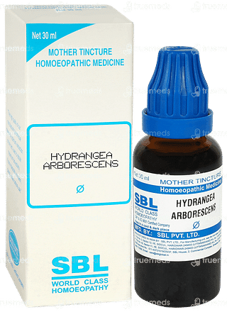 Sbl Hydrangea Arborescens Q  Mother Tincture 30 ML