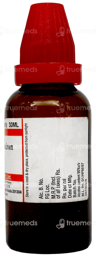 Sbl Rhus Toxicodendron 30Ch Dilution 30Ml