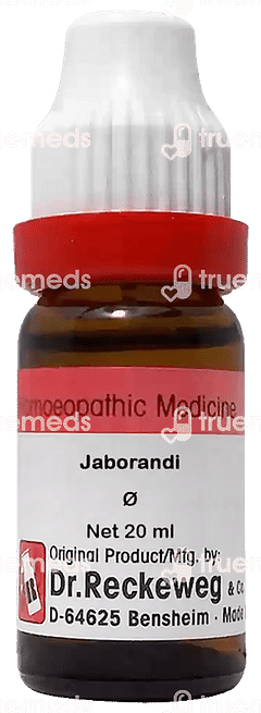 Dr Reckeweg Jaborandi Q Mother Tincture 20ml Dr Reckeweg Jaborandi Q Mother Tincture 20ml