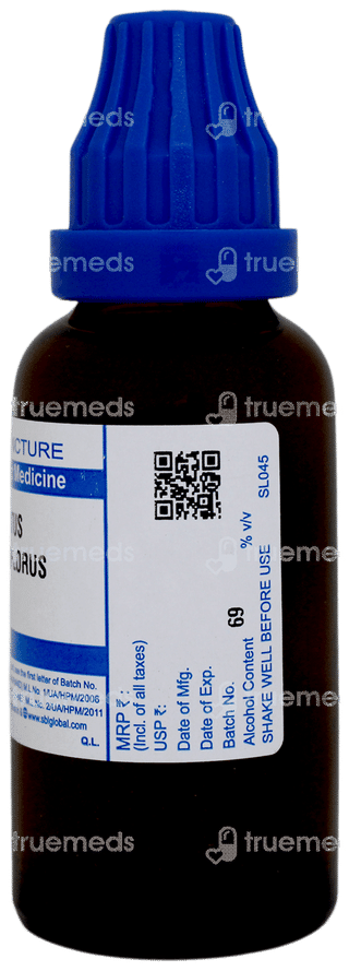 Sbl Cactus Grandiflorus Q Mother Tincture 30ml