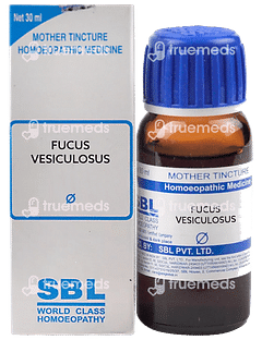 Sbl Fucus Vesiculosus Q Mother Tincture 30ml Sbl Fucus Vesiculosus Q Mother Tincture 30ml