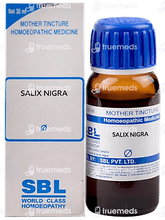 Sbl Salix Nigra Q Mother Tincture 30ml
