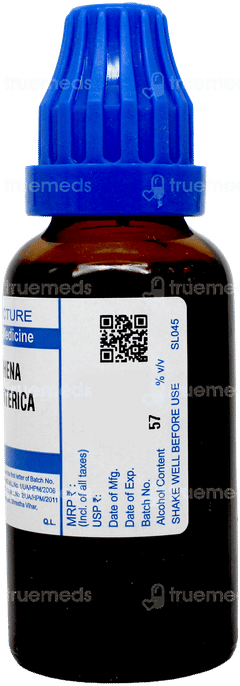 Sbl Holarrhena Antidysenterica Q Mother Tincture 30ml