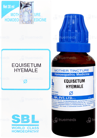 Sbl Equisetum Hyemale Q Mother Tincture 30ml