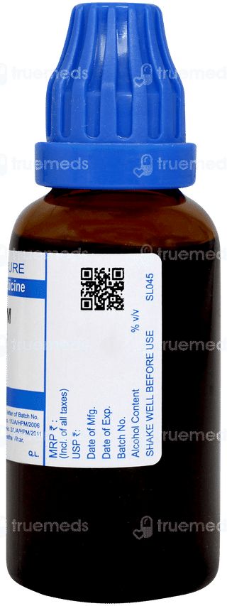 Sbl Equisetum Hyemale Q Mother Tincture 30ml
