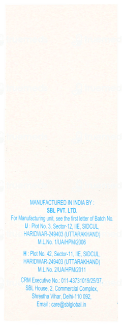 Sbl Bryonia Alba Q Mother Tincture 30 ML