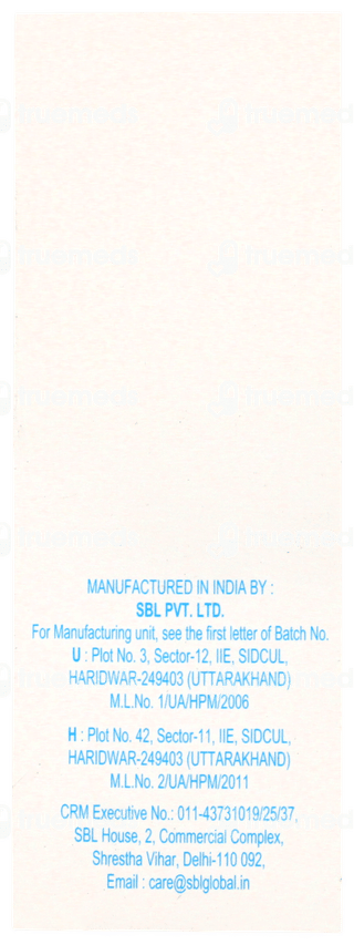 Sbl Bryonia Alba Q Mother Tincture 30 ML