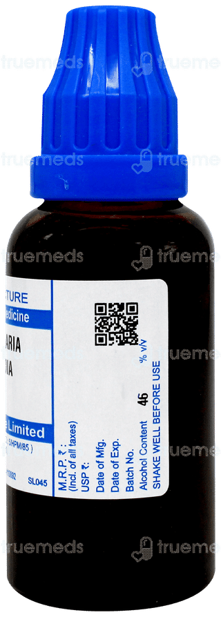 Sbl Stellaria Media Q Mother Tincture 30Ml