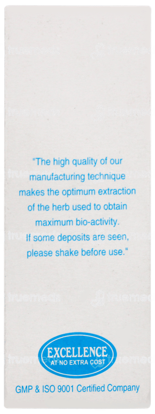 Sbl Rhus Toxicodendron Q Mother Tincture 30ml