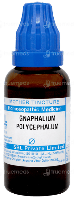 Sbl Gnaphalium Polycephalum Q Mother Tincture 30ml Sbl Gnaphalium Polycephalum Q Mother Tincture 30ml