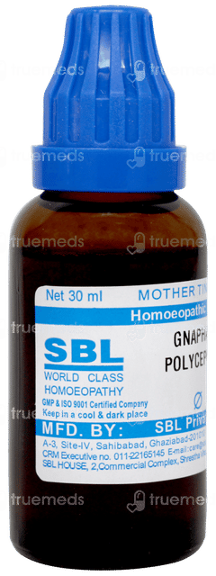 Sbl Gnaphalium Polycephalum Q Mother Tincture 30ml Sbl Gnaphalium Polycephalum Q Mother Tincture 30ml