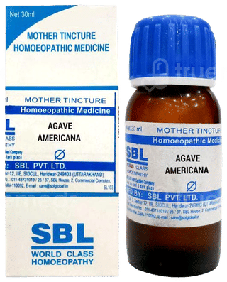 Sbl Agave Americana Q Mother Tincture 30 Ml