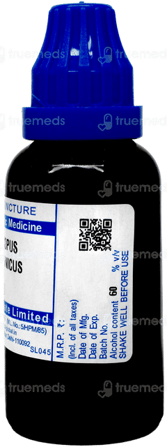 Sbl Lycopus Virginicus Q Mother Tincture 30 ML Sbl Lycopus Virginicus Q Mother Tincture 30 ML