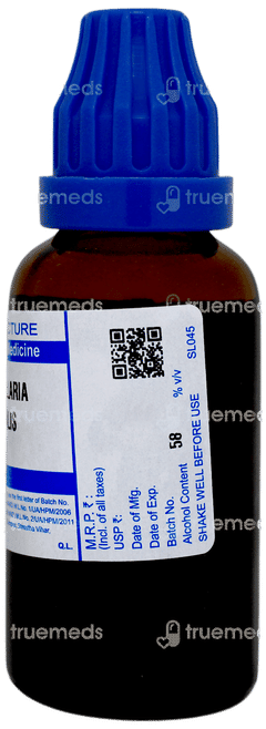 Sbl Convallaria Majalis Q Mother Tincture 30 ML