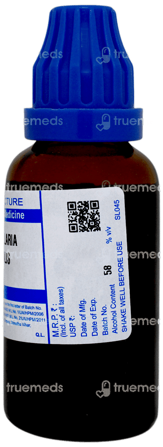 Sbl Convallaria Majalis Q Mother Tincture 30 ML