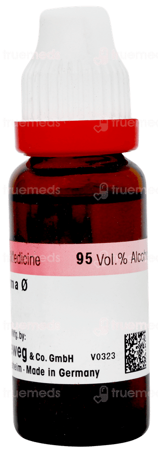 Dr Reckeweg Aspidosperma Q Mother Tincture 20ml