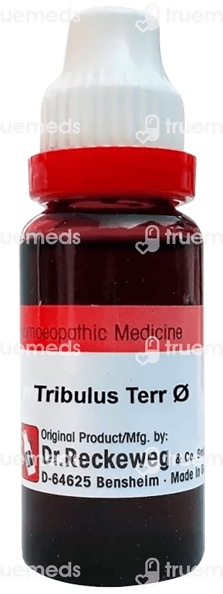 Dr Reckeweg Tribulus Terr Q Mother Tincture 20 ML