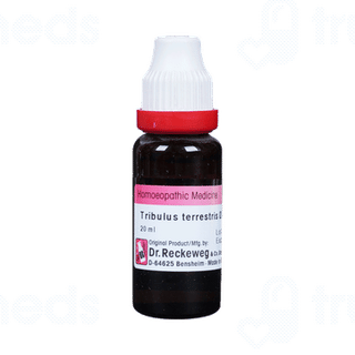 Dr Reckeweg Tribulus Terr Q Mother Tincture 20ml