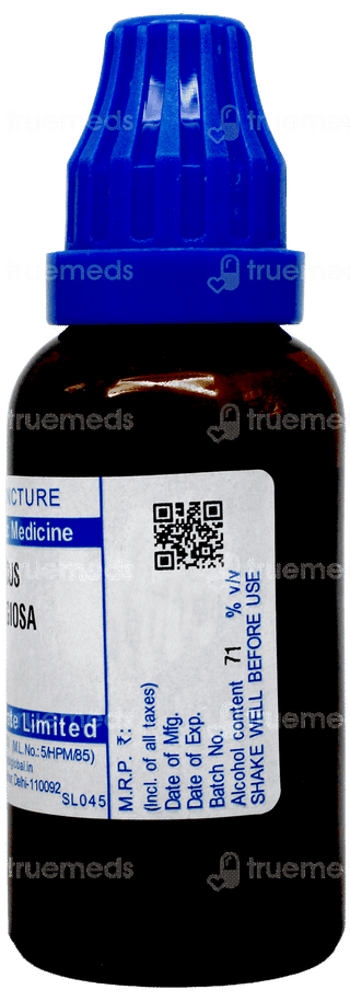 Sbl Ficus Religiosa Q Mother Tincture 30ml