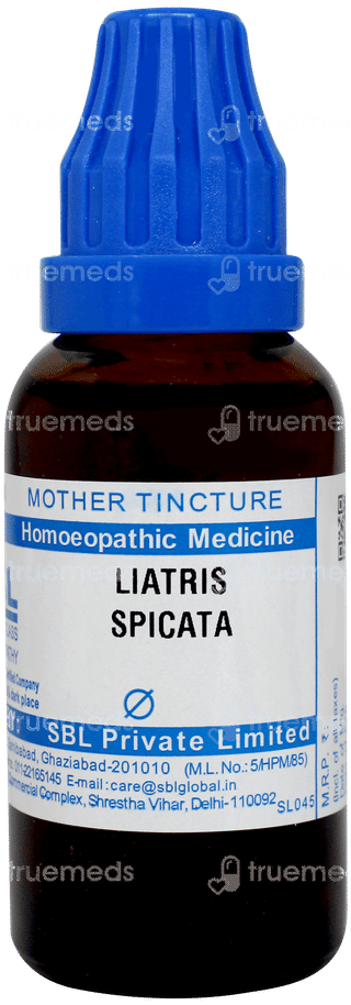 Sbl Liatris Spicata Q Mother Tincture 30 ML