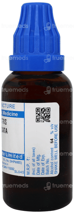 Sbl Liatris Spicata Q Mother Tincture 30 ML