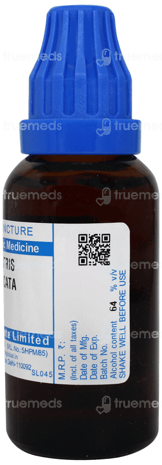 Sbl Liatris Spicata Q Mother Tincture 30 ML