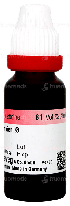 Dr Reckeweg Bacopa Monnieri Q Mother Tincture 20ml