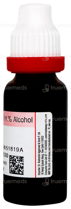 Dr Reckeweg Bacopa Monnieri Q Mother Tincture 20ml