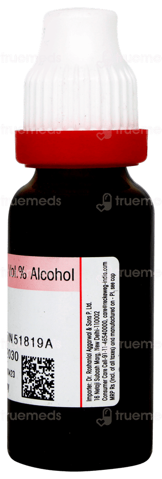 Dr Reckeweg Bacopa Monnieri Q Mother Tincture 20ml