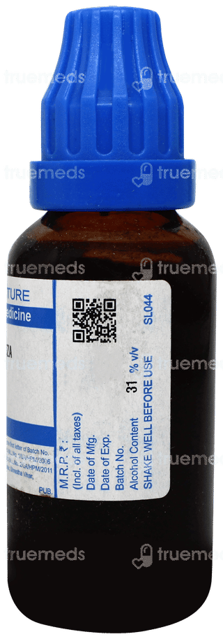 Sbl Glycyrrhiza Glabra Q Mother Tincture 30ml