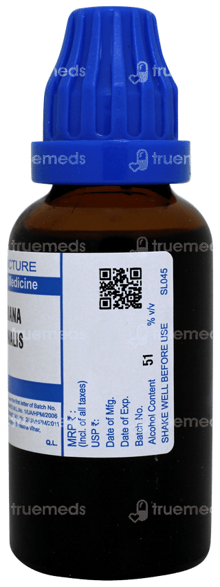 Sbl Valeriana Officinalis Q Mother Tincture 30 ML