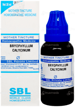 Sbl Bryophyllum Calycinum Q Mother Tincture 30 ML