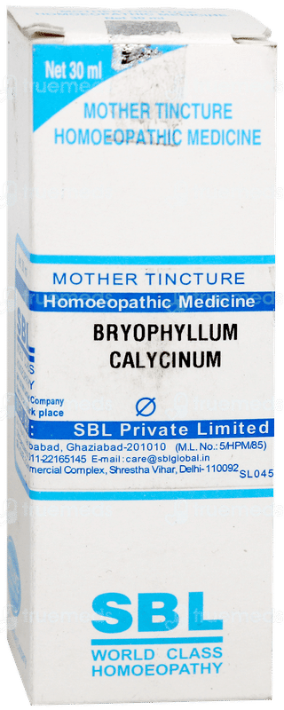 Sbl Bryophyllum Calycinum Q Mother Tincture 30 ML