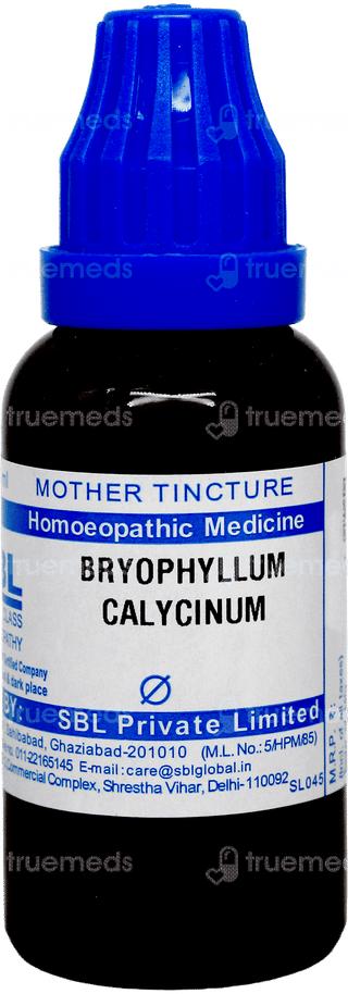 Sbl Bryophyllum Calycinum Q Mother Tincture 30 ML